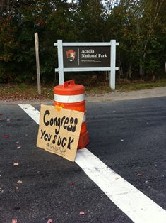 protest sign that says congress you suck